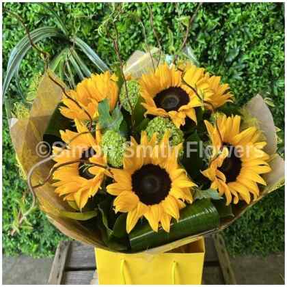 Sunny Sunflower