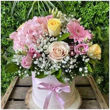 Baby Girl Hatbox