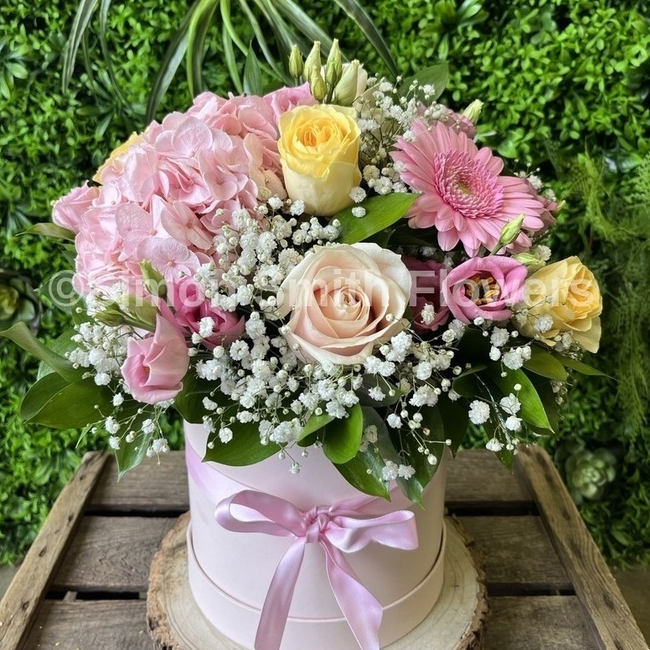 Baby Girl Hatbox