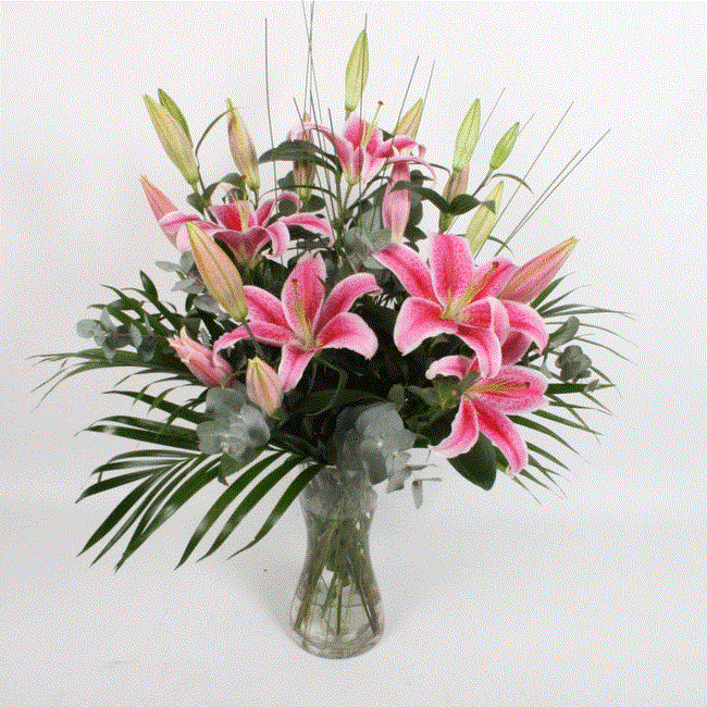 Classic Pink Lilies