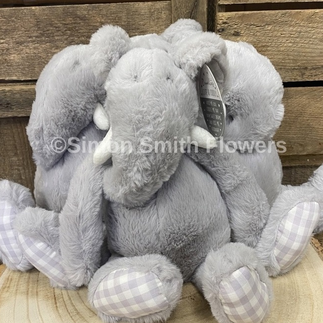 Grey Elephant