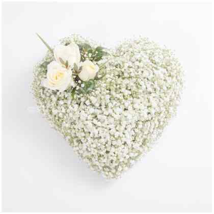 Gypsophila Heart