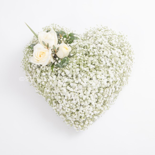 Gypsophila Heart