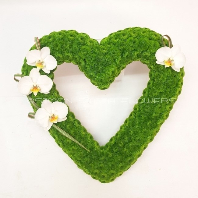 Phalaenopsis Heart