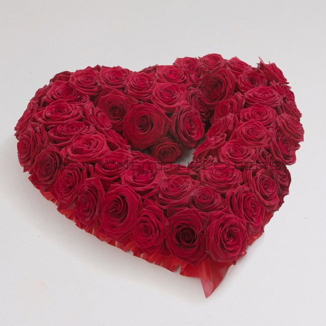 Red Rose Open Heart
