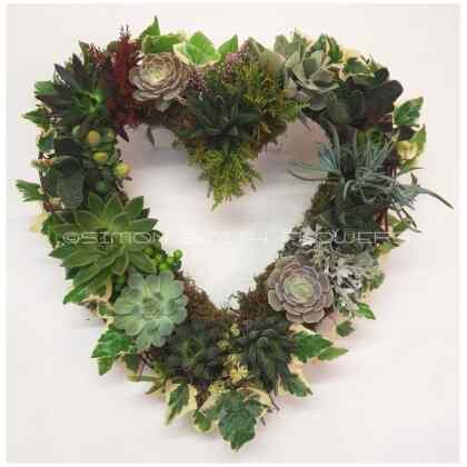 Succulent Heart