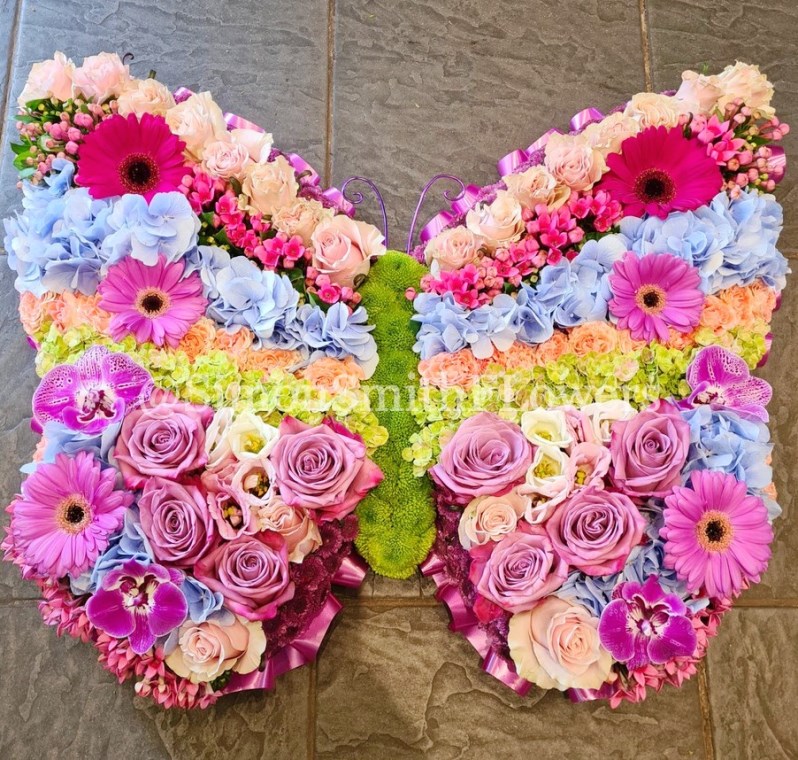 Butterfly