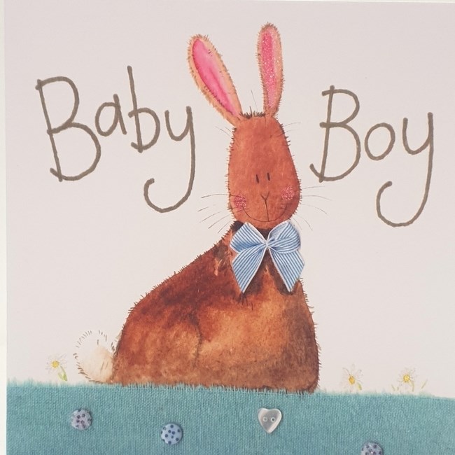 Baby Boy - Rabbit