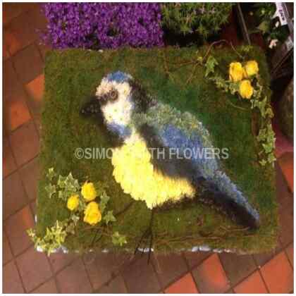 Bird