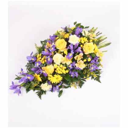 Blue and Yellow Spray