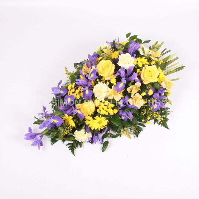 Blue and Yellow Spray