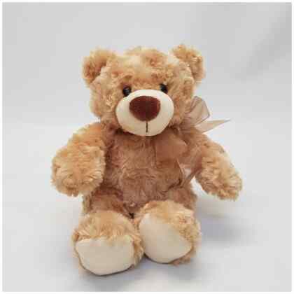 Brown Teddy Bear