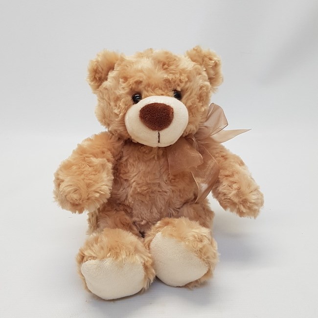 Brown Teddy Bear
