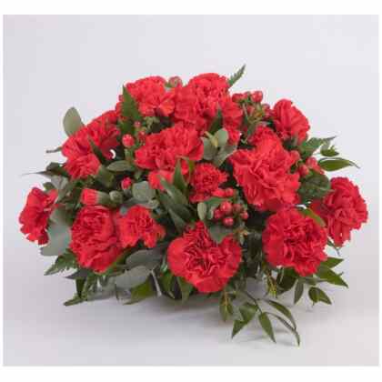 Carnation Posy