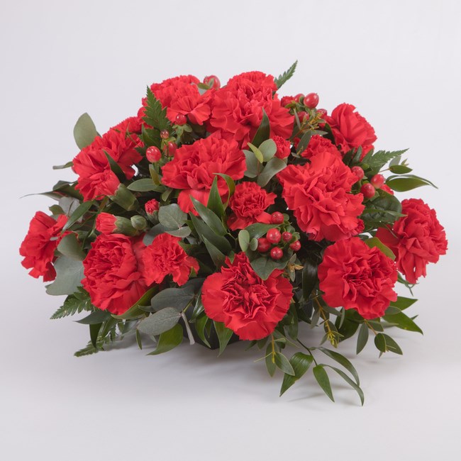 Carnation Posy