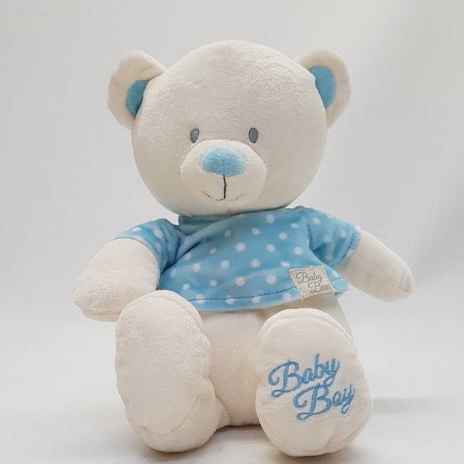 Large Blue Teddy