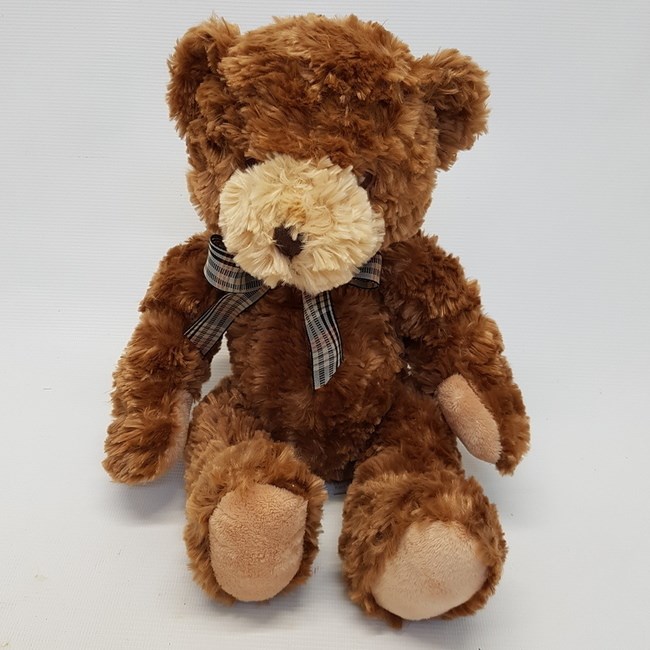 Large Brown Teddy