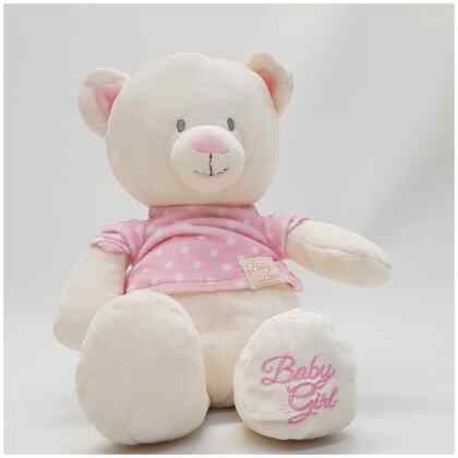 Large Pink Teddy