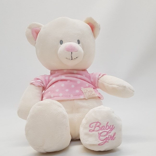 Large Pink Teddy
