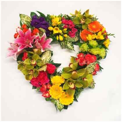 Open Heart