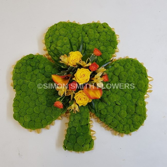 Shamrock