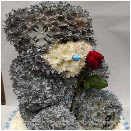 Tatty Teddy