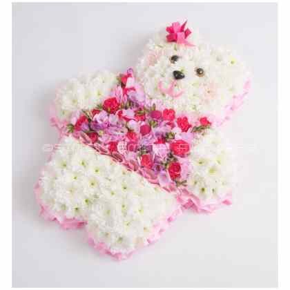 Teddy Bear Pink