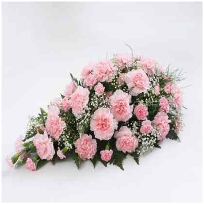Carnation Spray