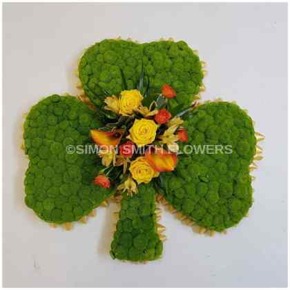 Shamrock