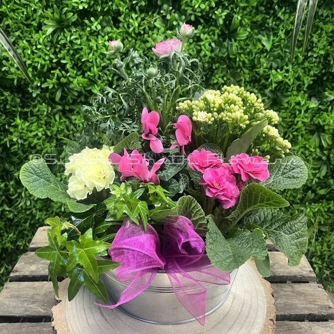 Indoor Out Door Planter