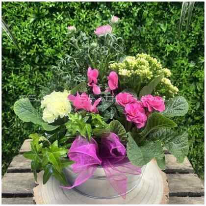 Indoor Out Door Planter
