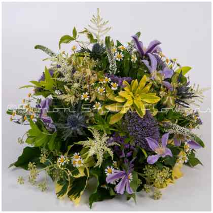 Meadow Posy