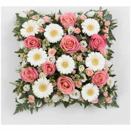Pink & White Loose Cushion