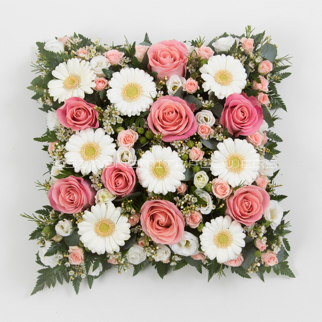 Pink & White Loose Cushion