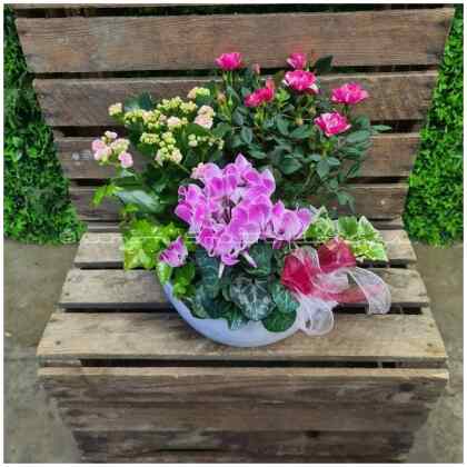 Mixed Planter