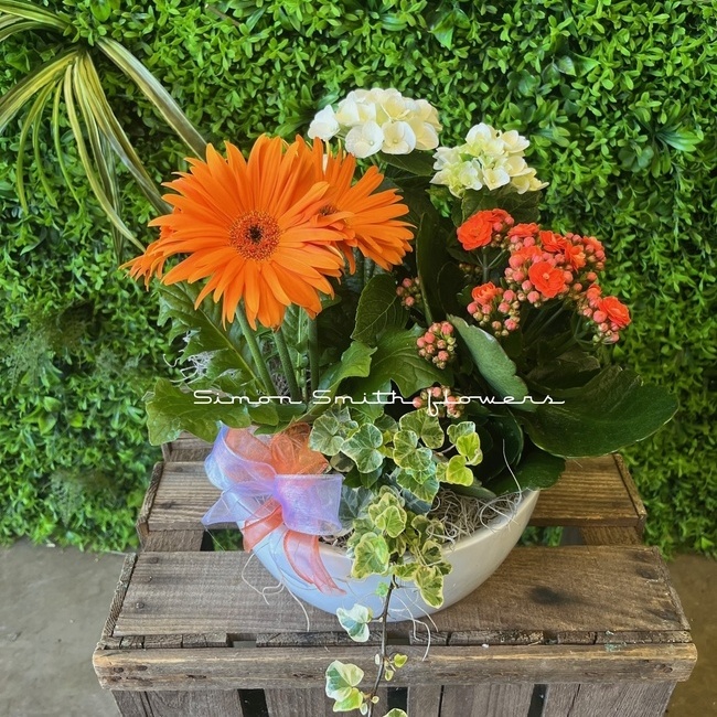 Indoor Summer Planter