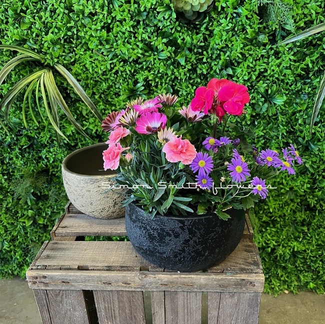 Outdoor Seasonal Planter