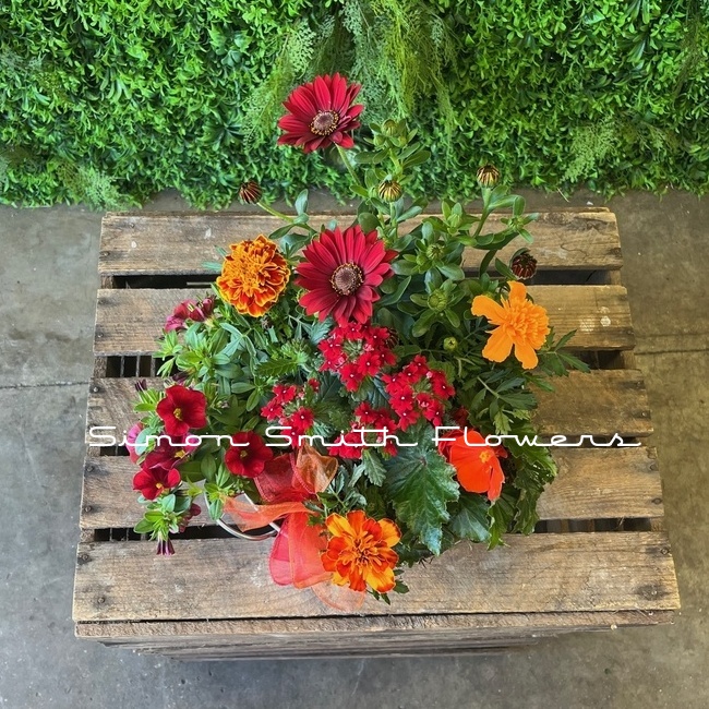 Hot Summer Planter