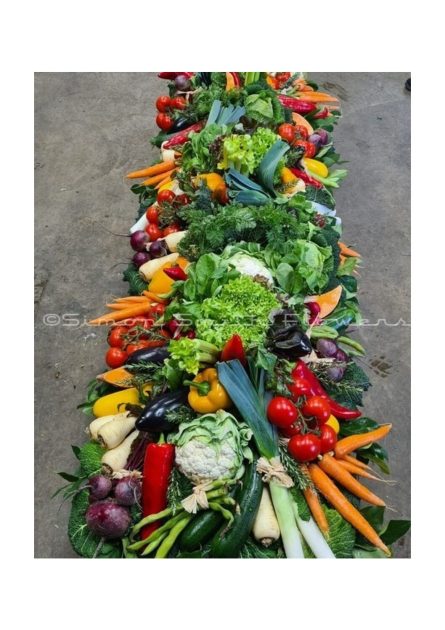 Vegetable Patch