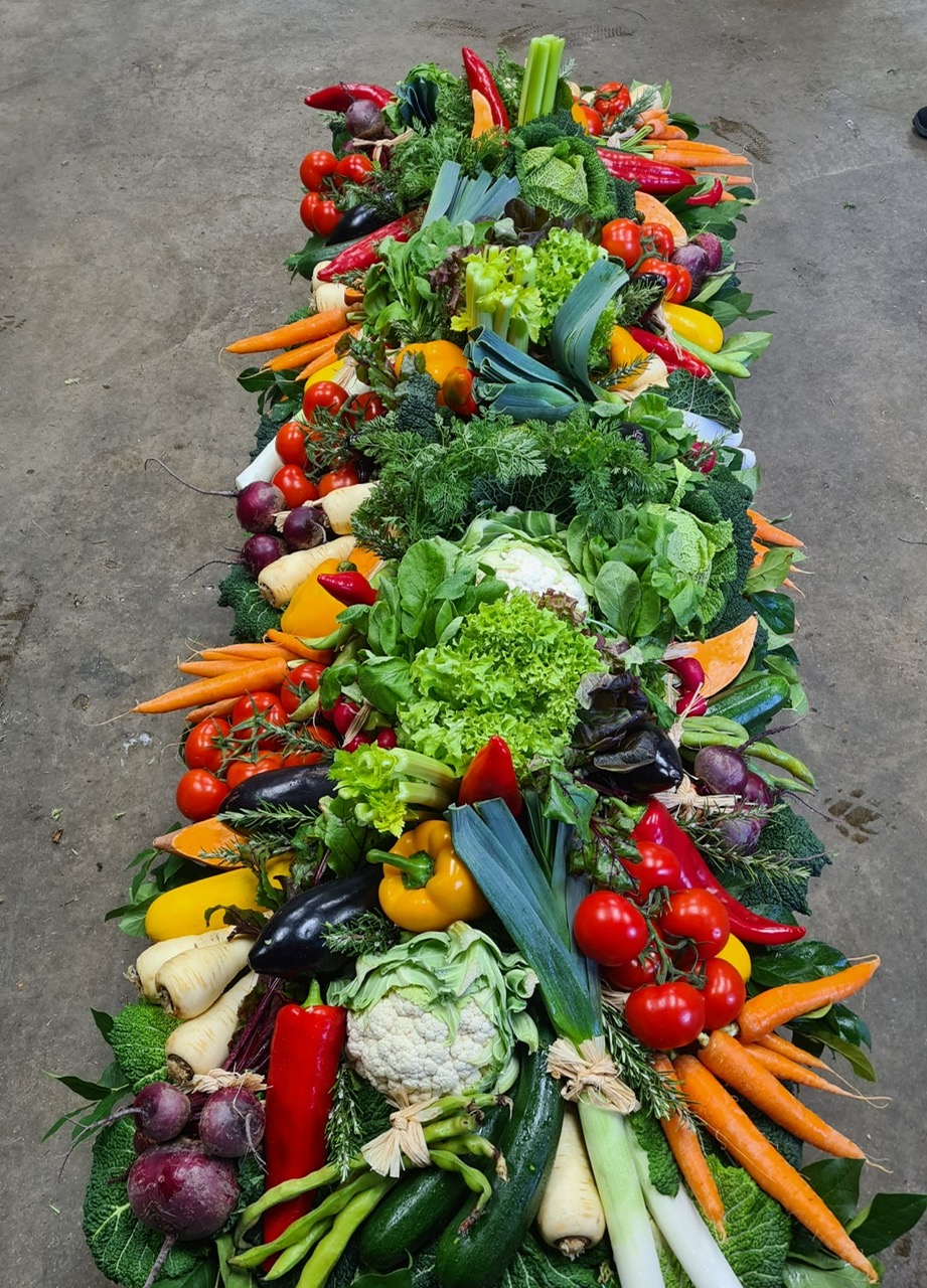 Vegetable Patch - Image 2